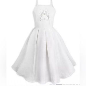 Disney Adult Like New Sleeping Beauty Castle Dress XL